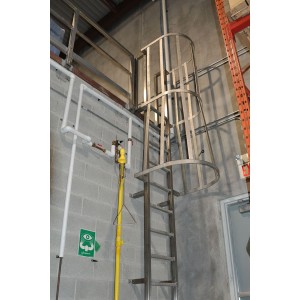 Stainless Steel Ladder With Safety Cage